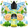 MELON MINT 12ML (LONGFILL) - BAR JUICE by BOMBO