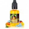 FURY AROMA 30 ML - A&L ULTIMATE